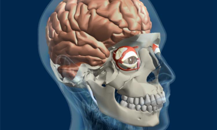 Facultad de Ciencias impulsa innovación educativa con cuadernos de trabajo interactivos