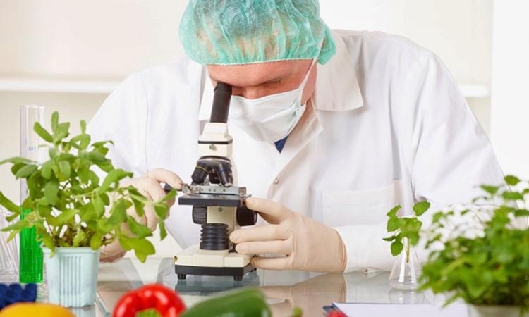 UNAH Comayagua avanza en el proceso de acreditación del Técnico en Tecnología de Alimentos