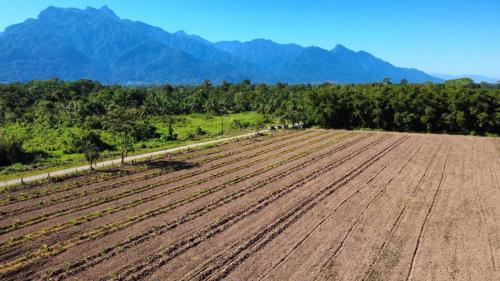 1b134506 4502 4844 b42f baee397ffa2f