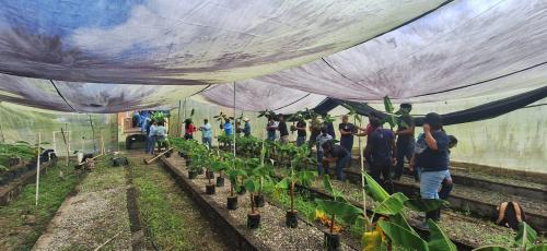 34da7e97 80f6 4279 946c 286fbdc436ff