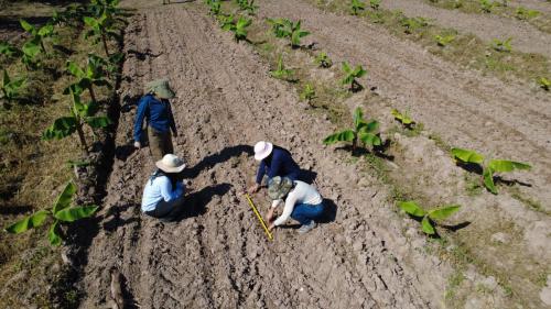 aa9b36d8 8dfe 4fff 91c9 538082014a14