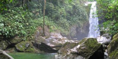 Standard Post with Image