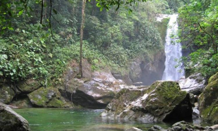 La UNAH aporta el 45 % del agua que consume La Ceiba 