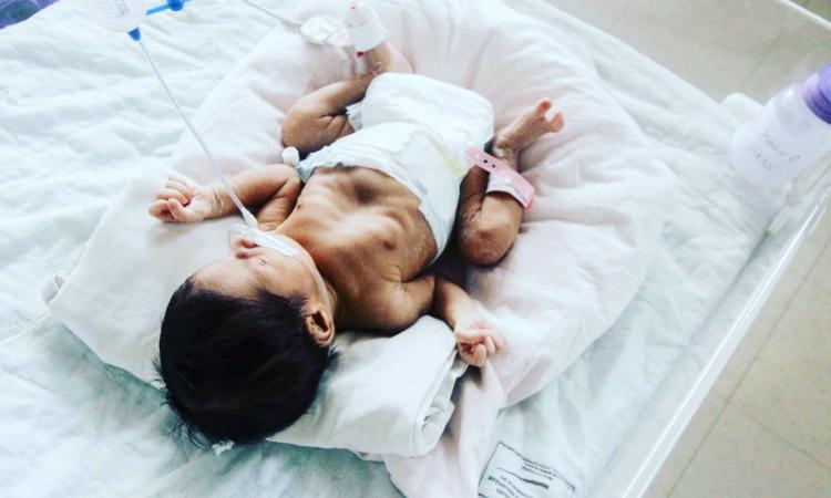 Centox-UNAH refuerza la prevención de defectos congénitos asociados a sustancias químicas en Honduras