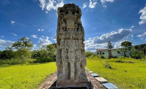 WhatsApp Image 2026 03 03 at 15.28.02