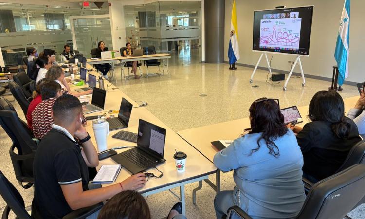 Vicerrectoría Académica desarrolló conferencia sobre sistematización de experiencias como parte del CEDS