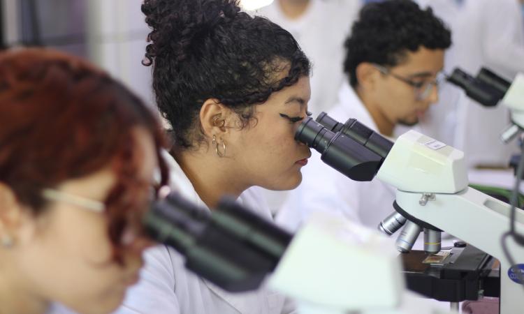 Del acceso a la educación a las revistas científicas: Mujeres que han contribuido a posicionar a la UNAH en el ranking mundial 