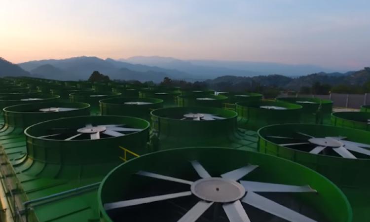 Honduras duerme sobre un tesoro energético: la geotermia como oportunidad estratégica para el país