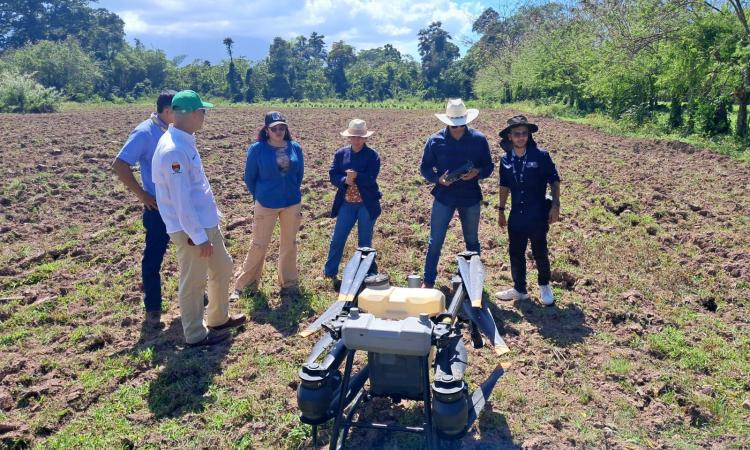 UNAH Campus Atlántida enseña sobre uso de drones agrícolas