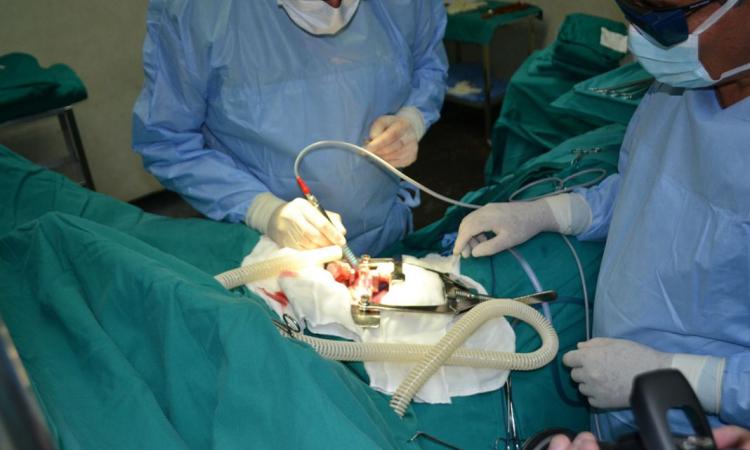 UNAH impulsa actualización médica con II Taller de Hemato-Oncología y Trasplante de Médula Ósea