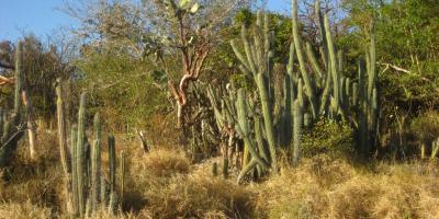 Standard Post with Image