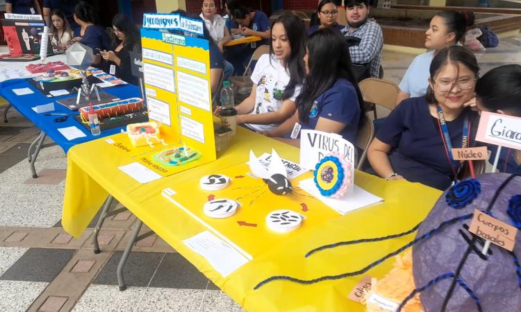 Ciencia con arte: estudiantes de Microbiología integran conocimiento y creatividad en la UNAH