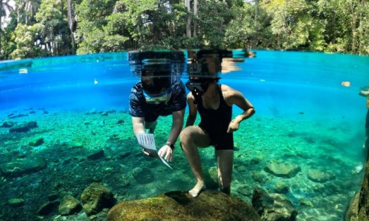 En UNAH Cortés se realizará el II Simposio Mesoamericano para la Conservación de la Biodiversidad de Agua Dulce