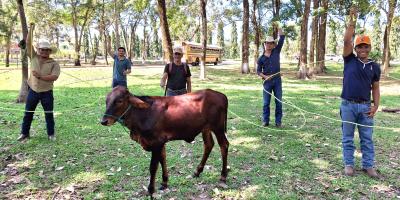 Standard Post with Image