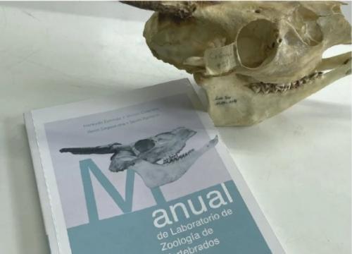 Captura de pantalla 2026 04 08 150804