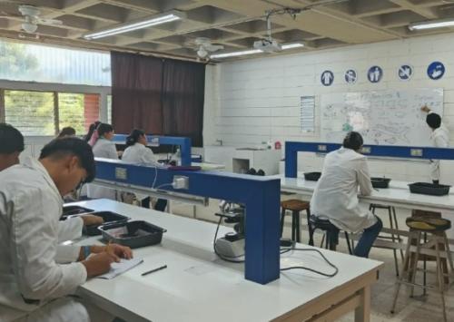 Captura de pantalla 2026 04 08 150828