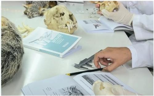 Captura de pantalla 2026 04 08 150910