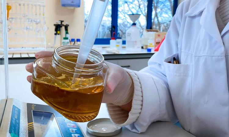 UNAH El Paraíso proyecta crear un innovador laboratorio de miel para fortalecer la apicultura nacional