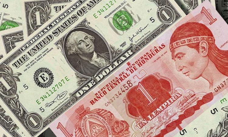 Moneda: el lempira se devaluó frente al dólar en más de 1,200 % en cuatro décadas, según académicos