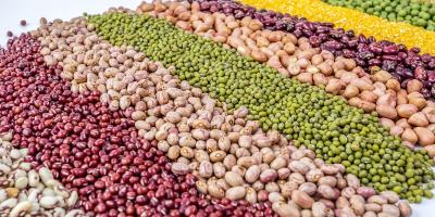 Standard Post with Image