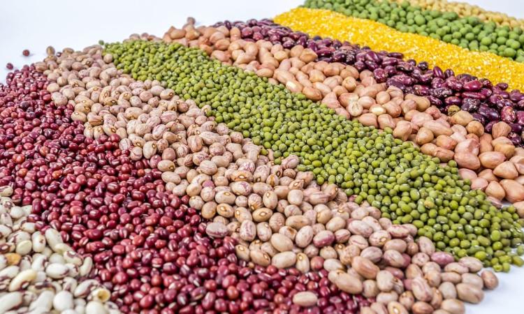 El Obsan impulsa estudio sobre consumo de frijol biofortificado con apoyo internacional