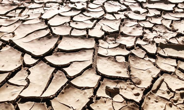 UNAH prevé sequía en 2026, pero descarta un evento climático catastrófico