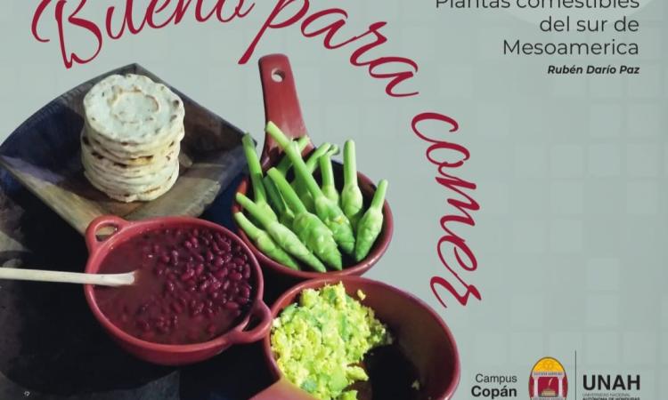 “Bueno para comer”: profesor de la UNAH rescata la memoria gastronómica y cultural del occidente hondureño