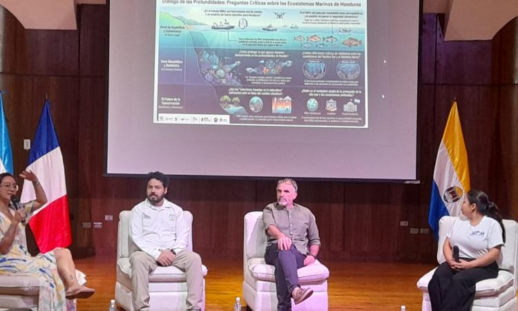 UNAH impulsa debate científico sobre la protección de los ecosistemas marinos de Honduras