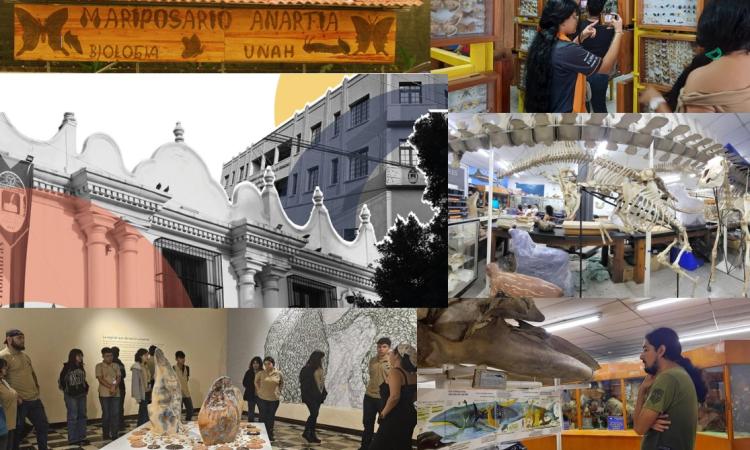 En el Día Internacional de los Museos, la UNAH ofrece sus tesoros naturales y culturales