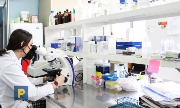 La investigación científica de la UNAH se expande a través de institutos y observatorios especializados