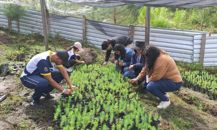 Convocan a estudiantes universitarios al primer diplomado regional de voluntariado