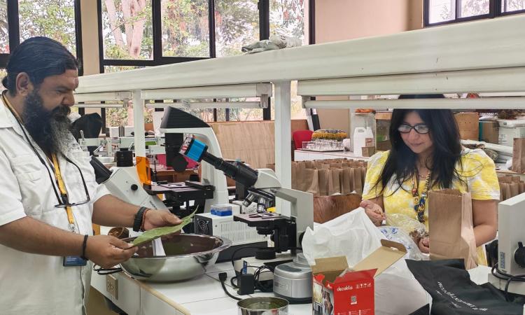 UNAH impulsa investigación pionera para evaluar la presencia de elementos traza en cacao y café hondureño