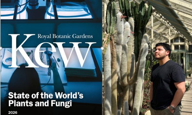 Investigación de egresado de la UNAH es incorporada al informe botánico más influyente del mundo