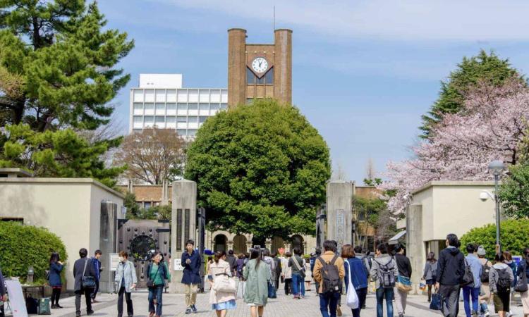 ¿Te gustaría estudiar un posgrado en Japón? Aún estás a tiempo de aplicar a la convocatoria para la Beca MEXT 2027