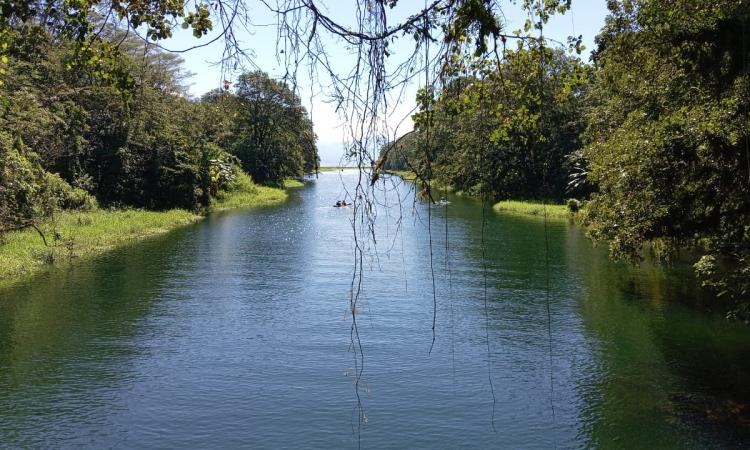 UNAH El Paraíso impulsa formación de líderes comunitarios para la protección ambiental