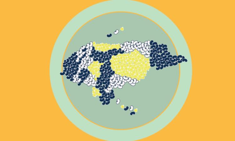 Obsan UNAH: La inseguridad alimentaria en Honduras persiste como un fenómeno crónico pese a la recuperación pospandémica