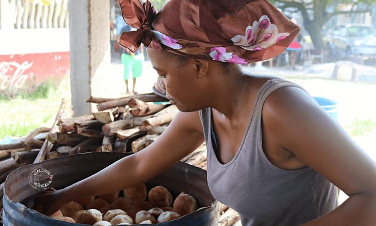 ITST-UNAH fortalece capacidades de mujeres garífunas de San Juan, Tela 