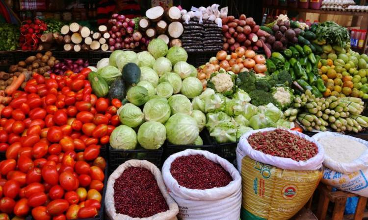 Cuatro productos bajaron de precio, pero canasta básica aumentó 800 lempiras en un año, reporta el Obsan-UNAH