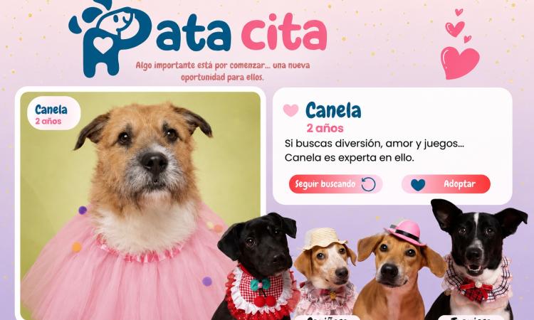 Estudiantes de UNAH Cortés concientizan sobre adopción responsable de animales