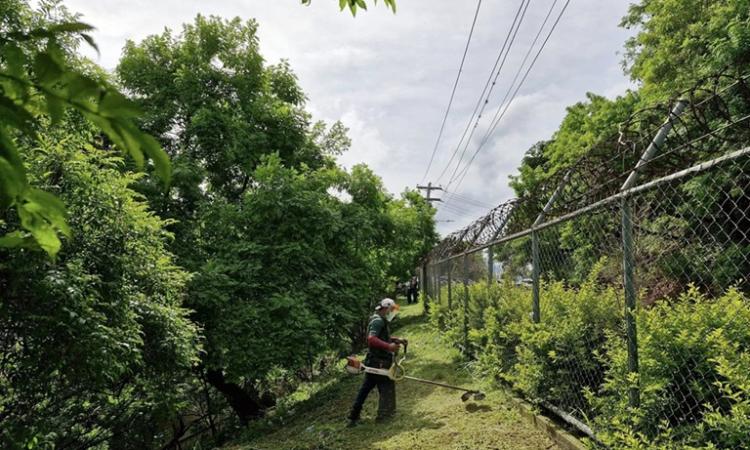 UNAH más verde: acciones que dejan huella, no residuos