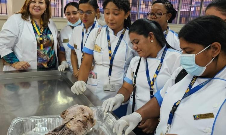Aprueban licitación privada para la remodelación integral de la Necroteca