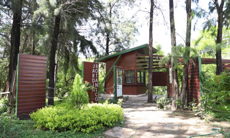 Jardín Botánico, bosque universitario que protege especies únicas