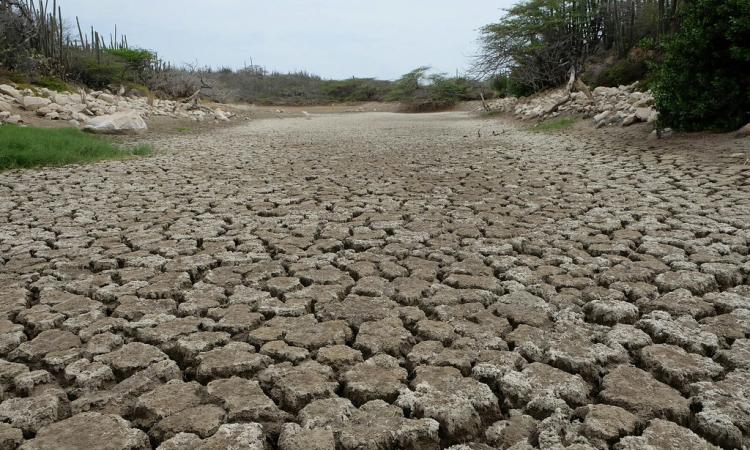 Cambio climático y El Niño podrían intensificar la canícula en Honduras, advierte experto de la UNAH