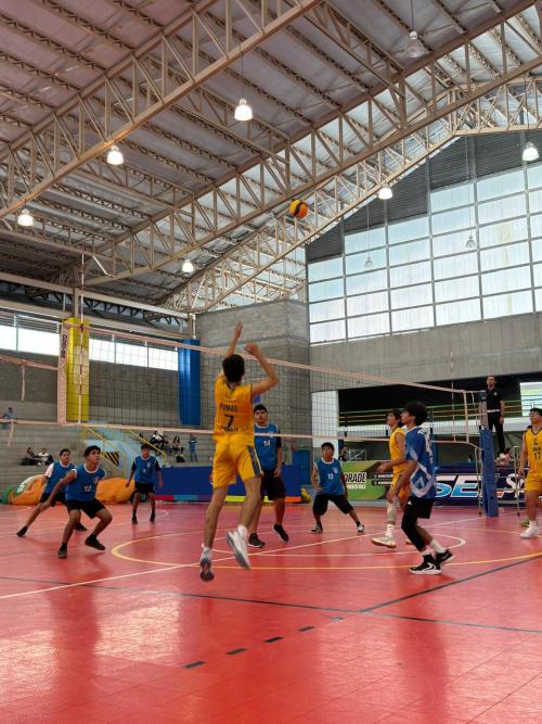 volibol juvenil 1