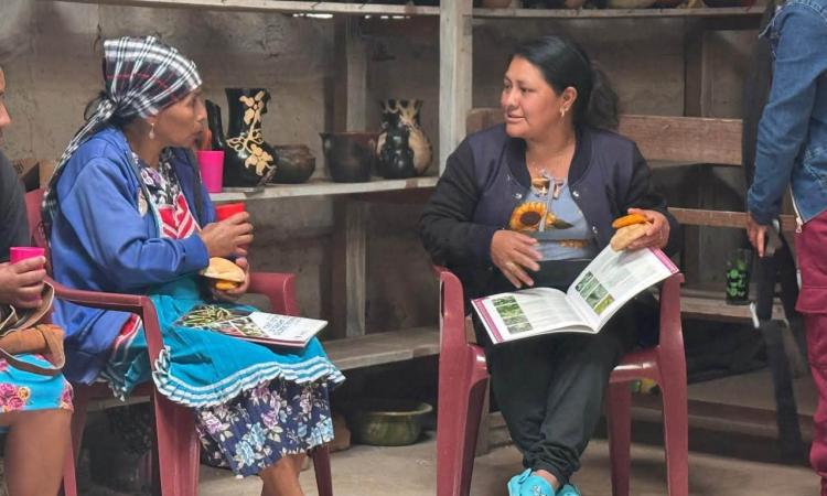 Campus Comayagua y Facultad de Ciencias Sociales desarrollan investigación para fortalecer la economía lenca