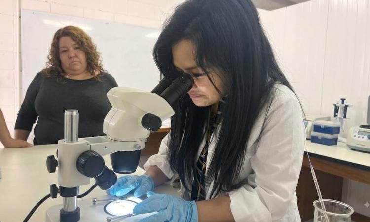 Científicas de la UNAH desarrollan gastroprotector a base de planta que supera resultados del lansoprazol 