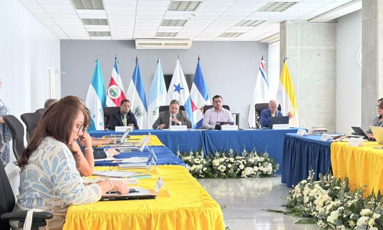 Políticas y estrategias de internacionalización son abordadas en la XXVII Reunión del Siesca, con sede en la UNAH