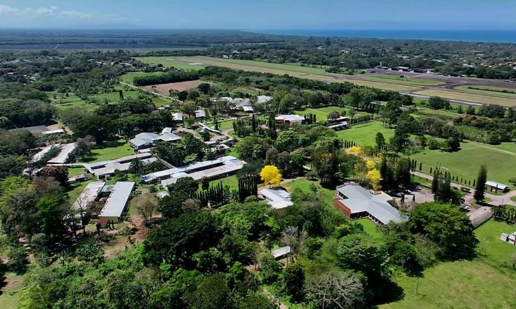 Campus Atlántida impulsa proyectos para proteger la flor nacional y fortalecer la economía local