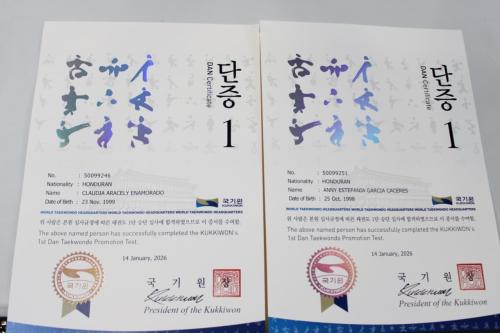 Certificacion Inaternacional KUKKIWON Corea del Sur TAEKWONDO 2