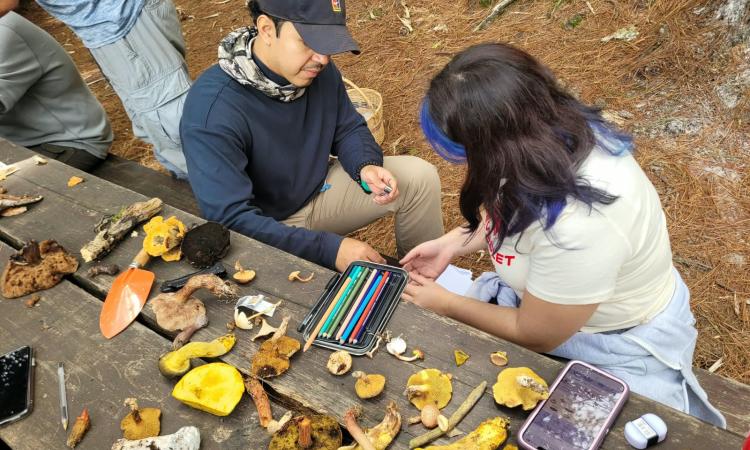 Investigadores de la UNAH destacan en publicación científica internacional sobre el estado de la micología en Honduras